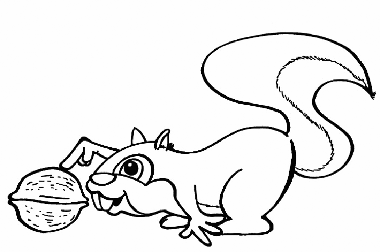 Cute Squirrel With Walnut Coloring Page