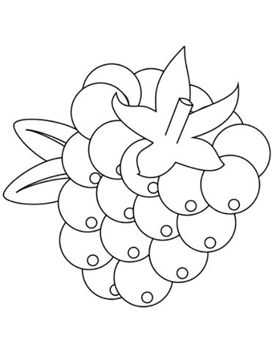 Easy Blackberry Coloring Page