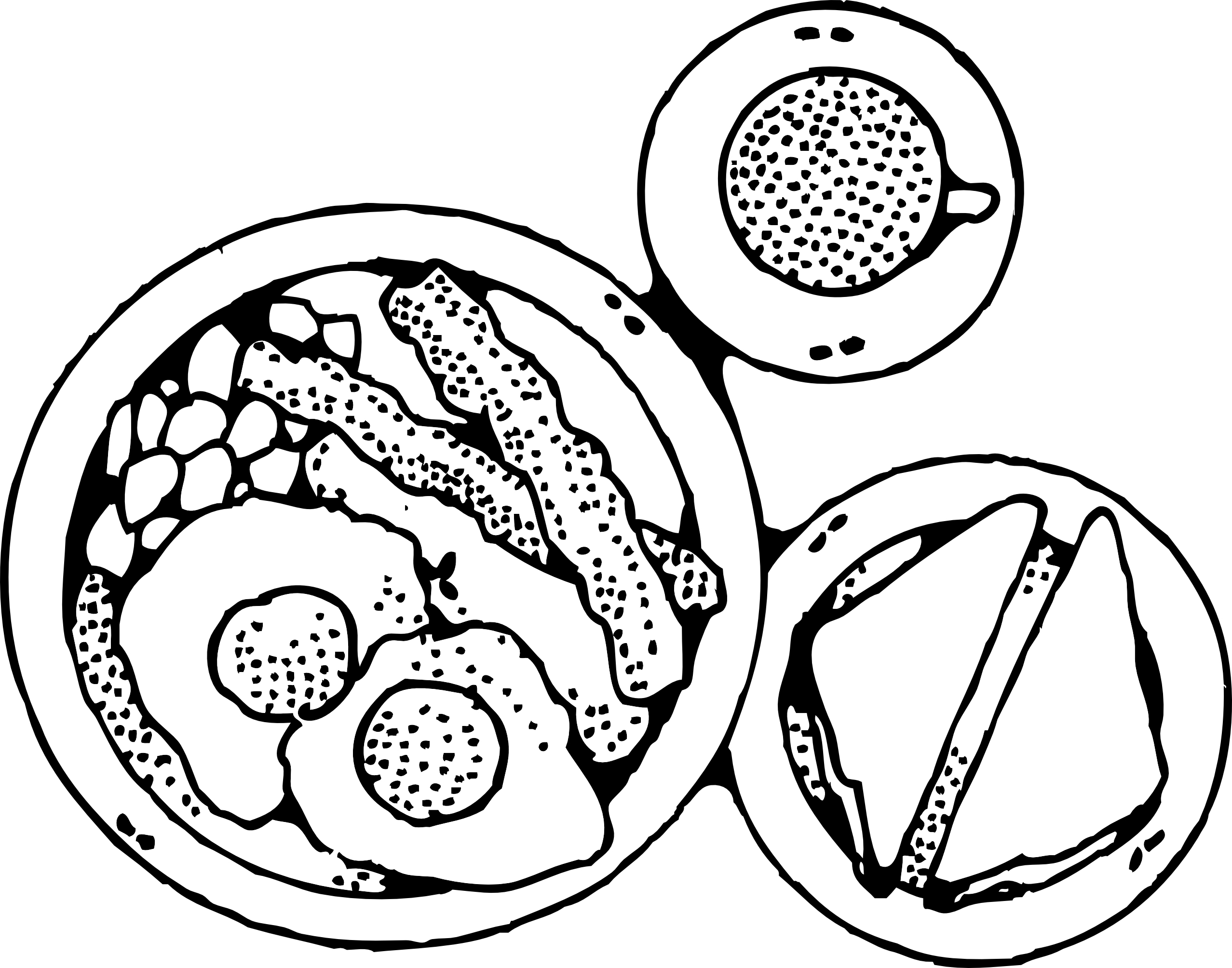 Full Balanced Breakfast Coloring Page