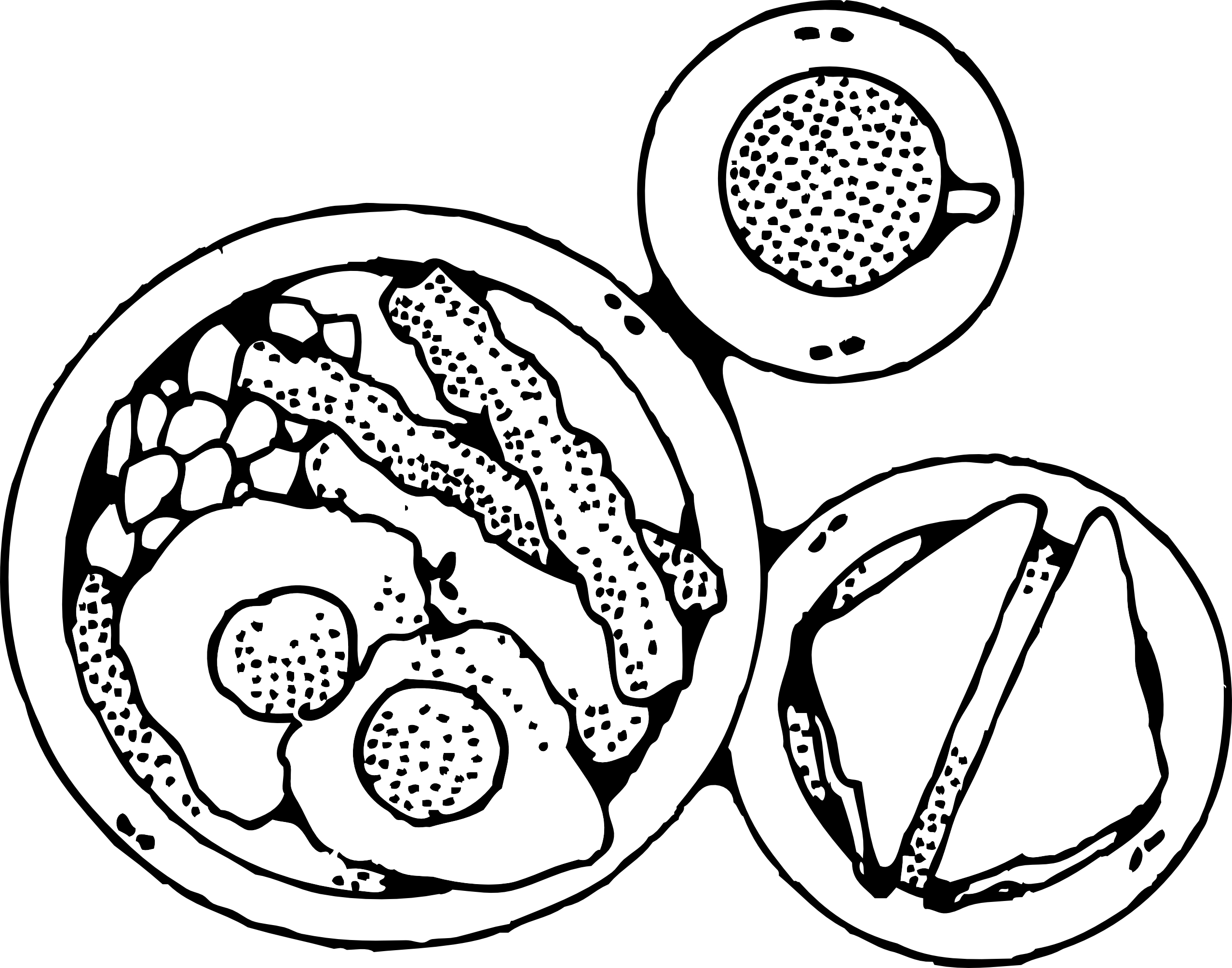 coloring pages breakfast