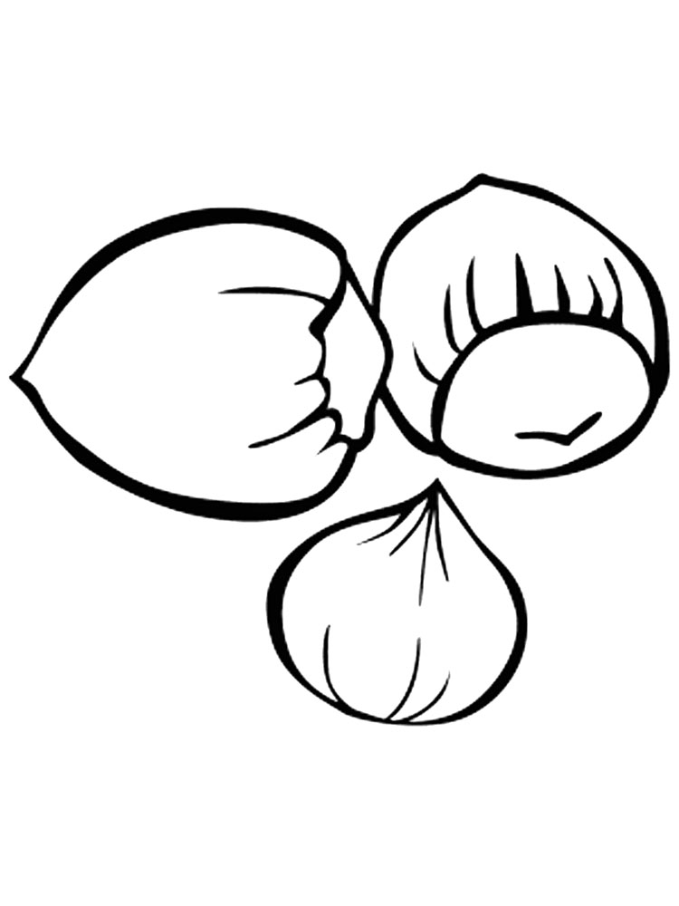 Nuts Coloring Pages.