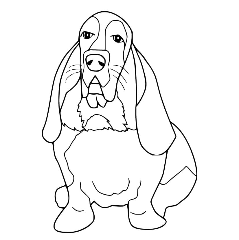 Old Basset Hound Coloring Page