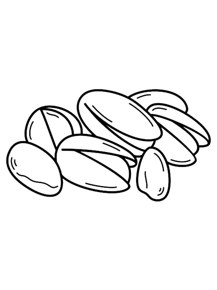 Pistachio Nuts Coloring Page