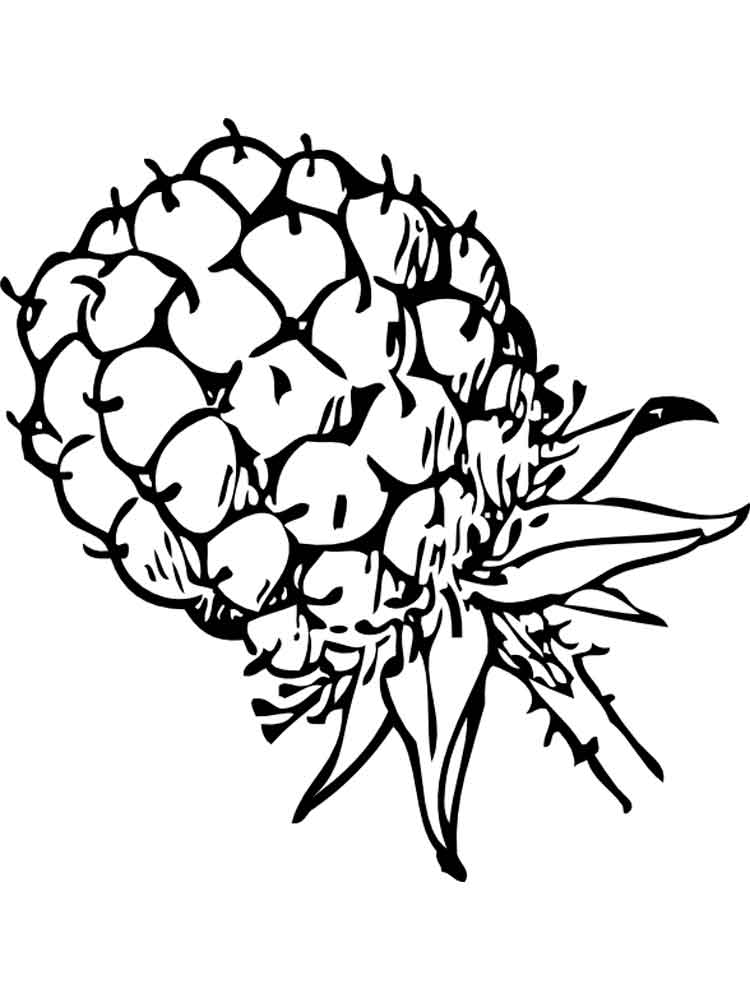 Pretty Blackberry Coloring Page