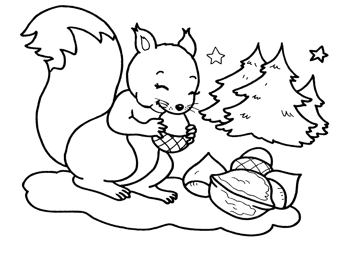 Squirre Eating Acorn Coloring Pages