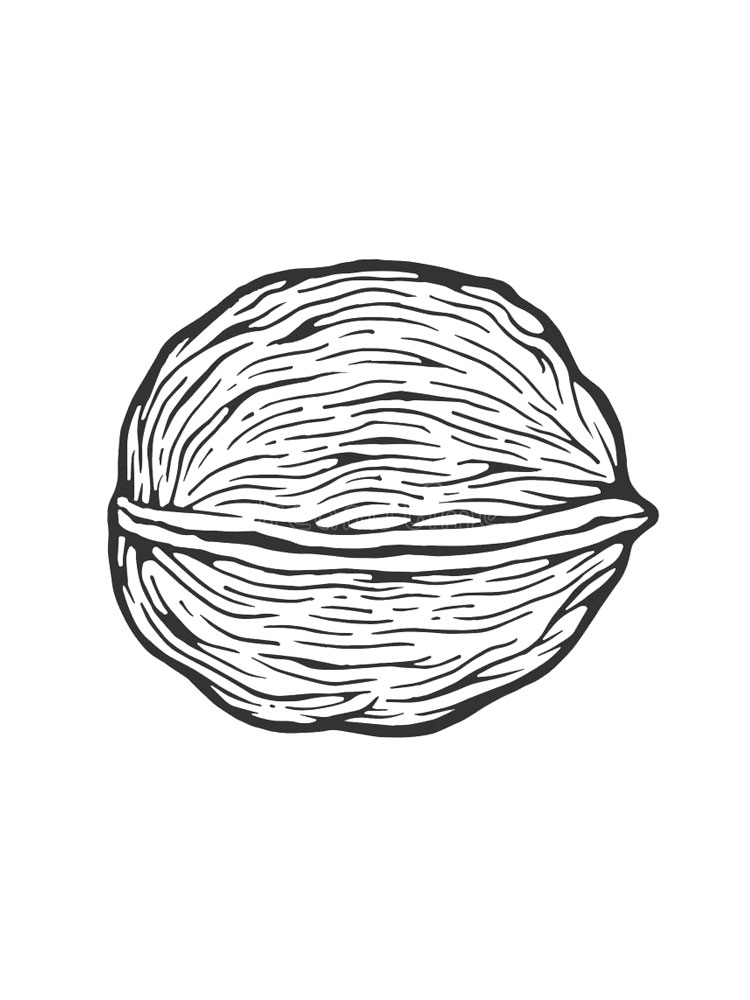 Walnut Coloring Page