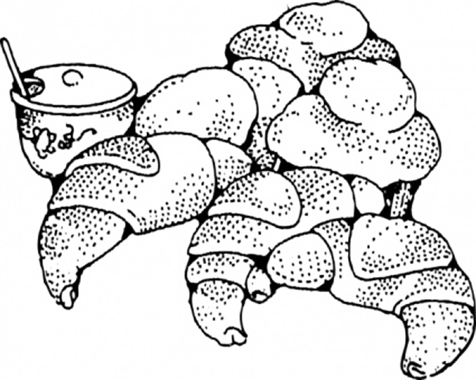 Croissants And Muffins Coloring Page