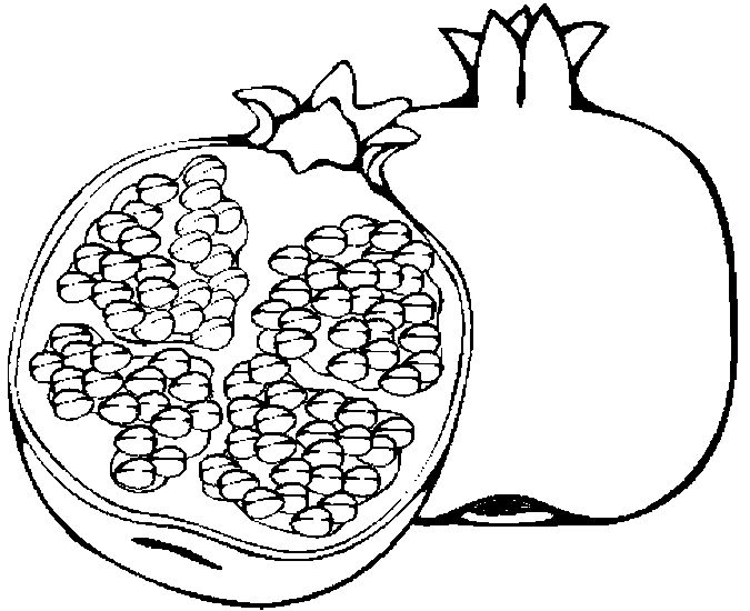 Pomegranate Coloring Page