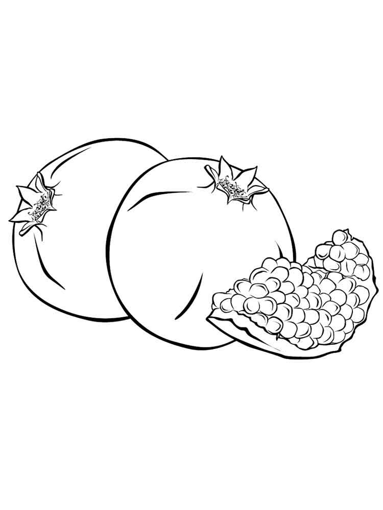 Pomegranate Coloring Sheets