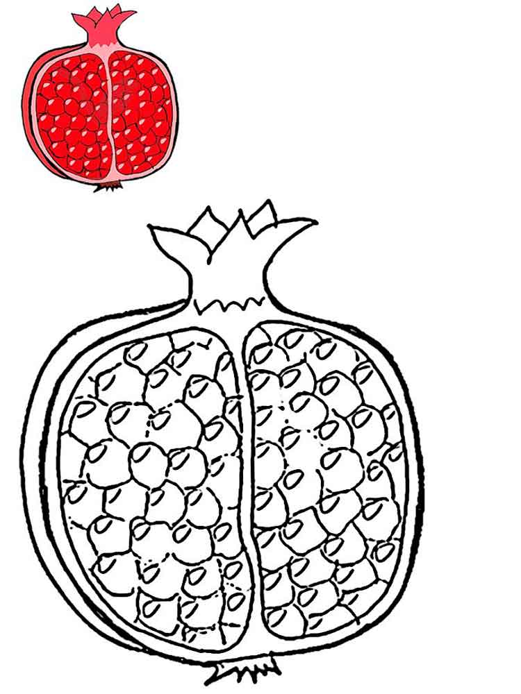 Sketch pen and ink vintage pomegranate set illustration, draft posters for  the wall • posters symbol, colouring, fruit | myloview.com