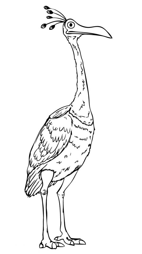 Kevin The Bird Up Coloring Page