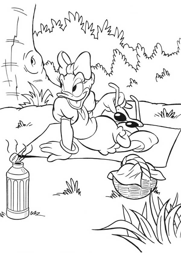 Daisy Ducks Picnic Coloring Page