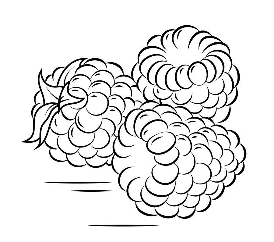 Raspberries Coloring Page