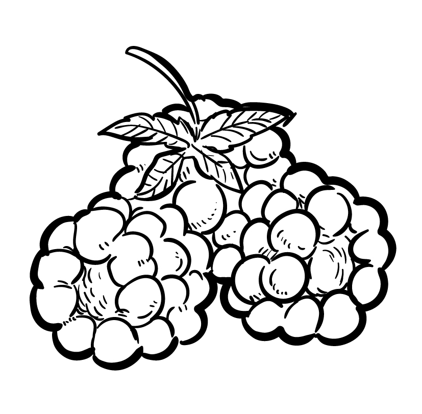 Raspberries Coloring Pages