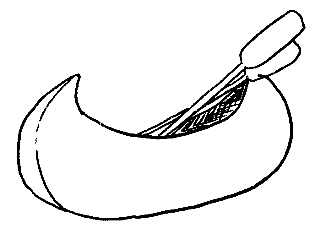 Boat And Oars Coloring Page