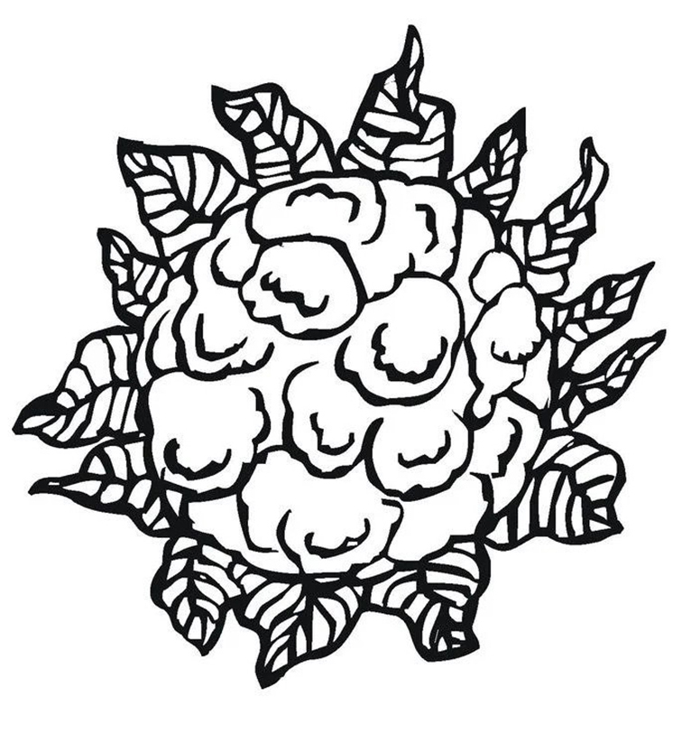 Cauliflower Coloring Page