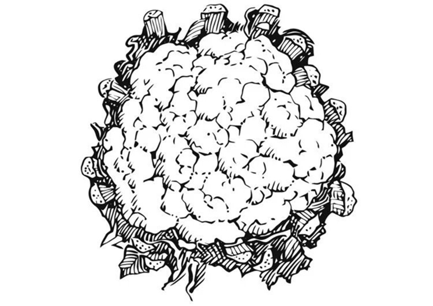 Cauliflower Coloring Sheet