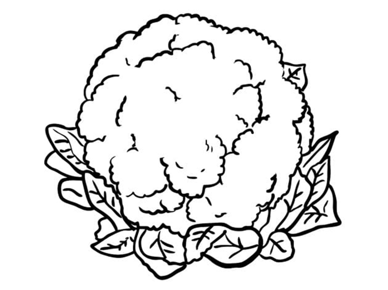 Cauliflower Vegetable Coloring Page