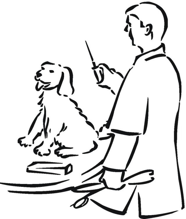 Veterinarian And Dog Patient Coloring Page