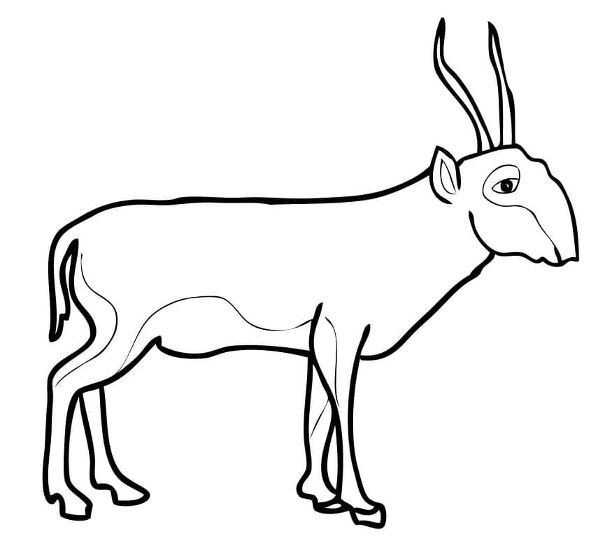 Desert Antelope Coloring Page