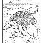 Desert Tortise Coloring Page