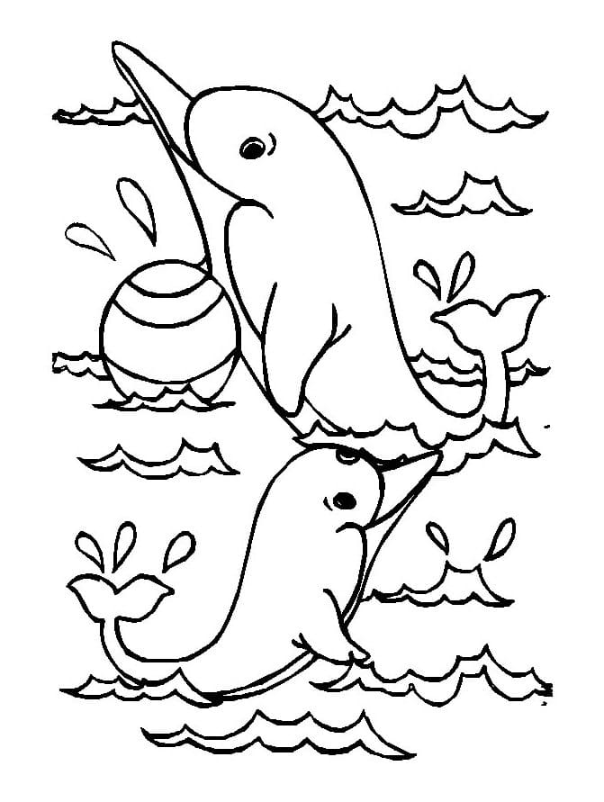 Dolphins Playing Ball Coloring Page
