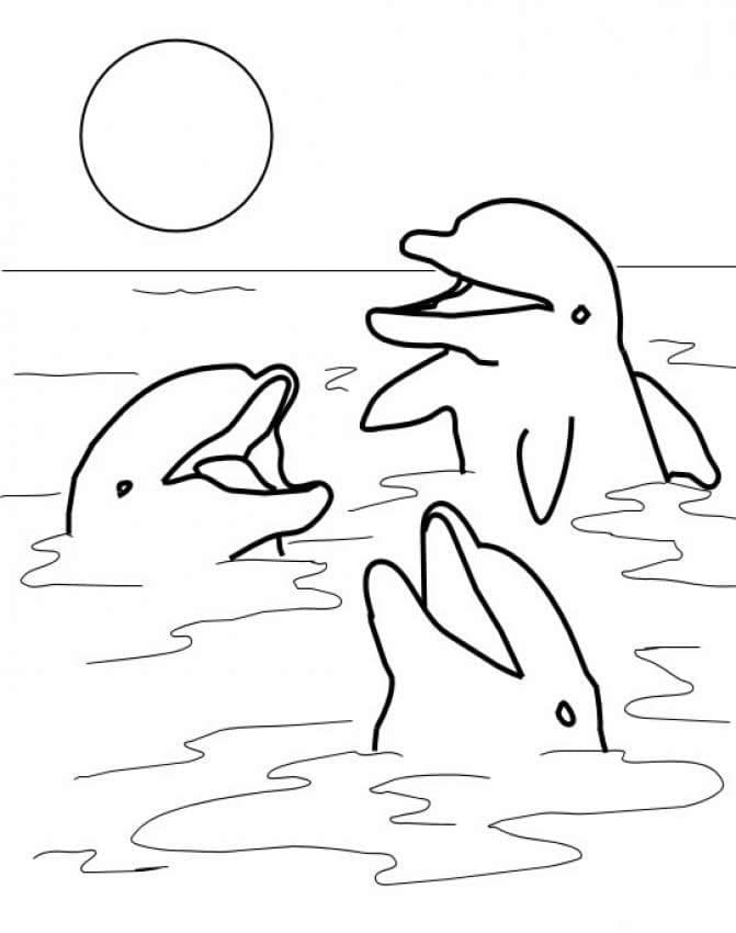 Dolphins In The Ocean Coloring Page
