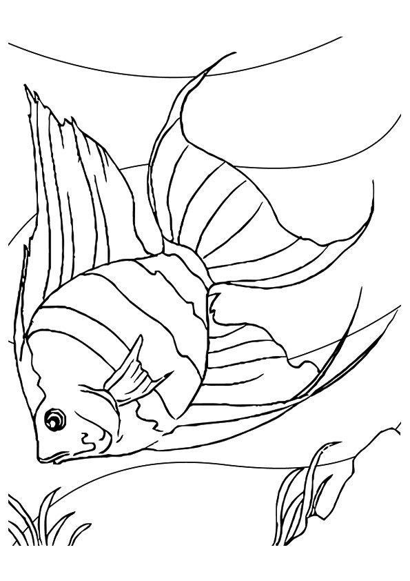 Fish In The Ocean Coloring Page