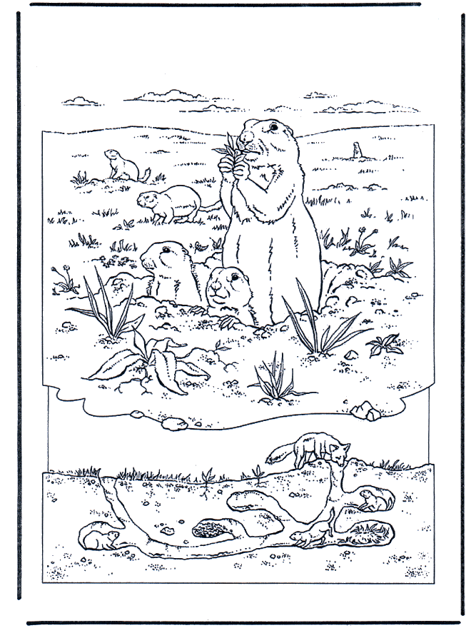 Groundhog Tunnels Coloring Page