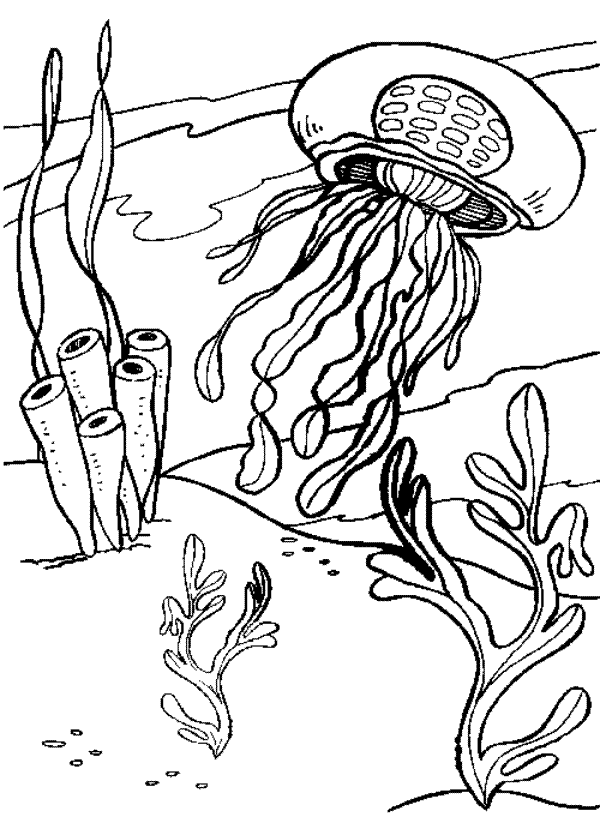 Jellyfish In The Ocean Coloring Page