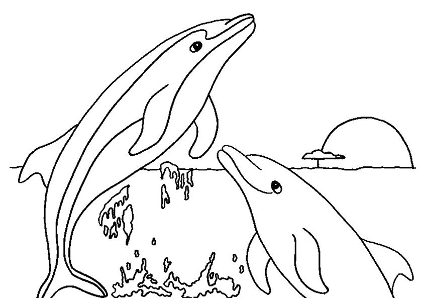 Jumping Dolphins Coloring Page