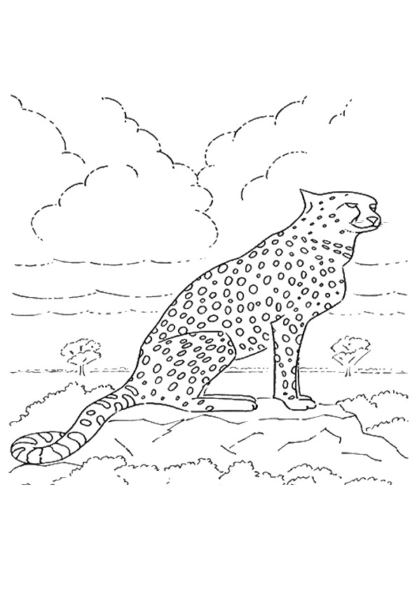 Leopard Desert Animals Coloring Pages