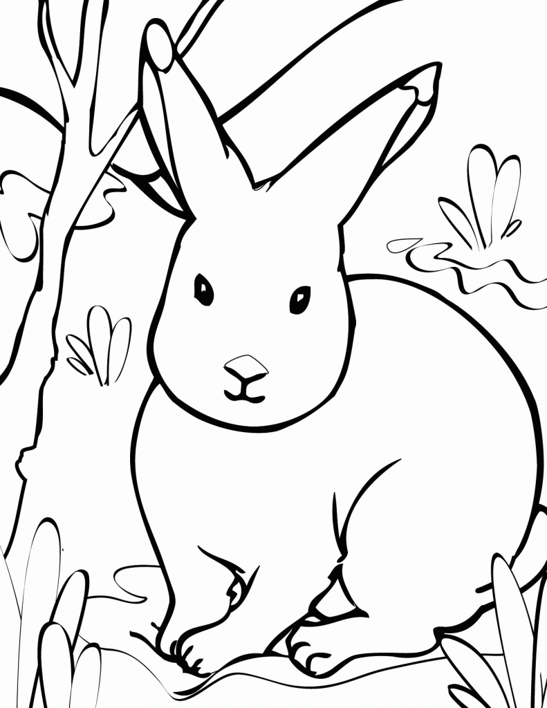 Rabbit Coloring Page