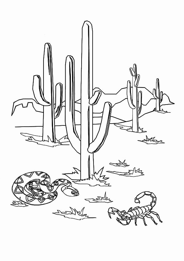 Scorpion And Snake In The Desert Coloring Page