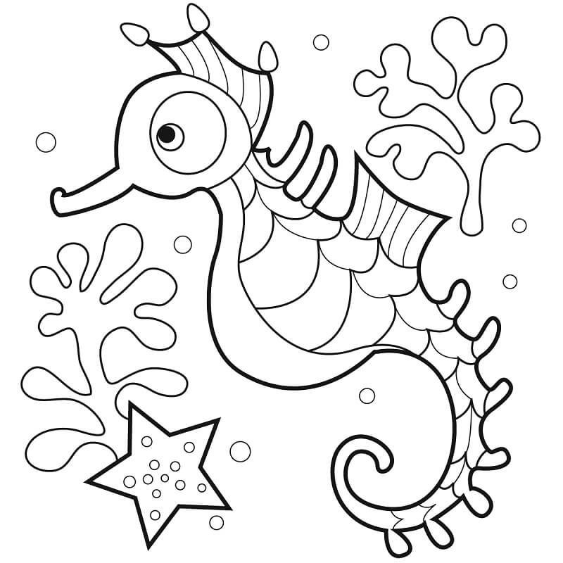 Sea Horse Coloring Page