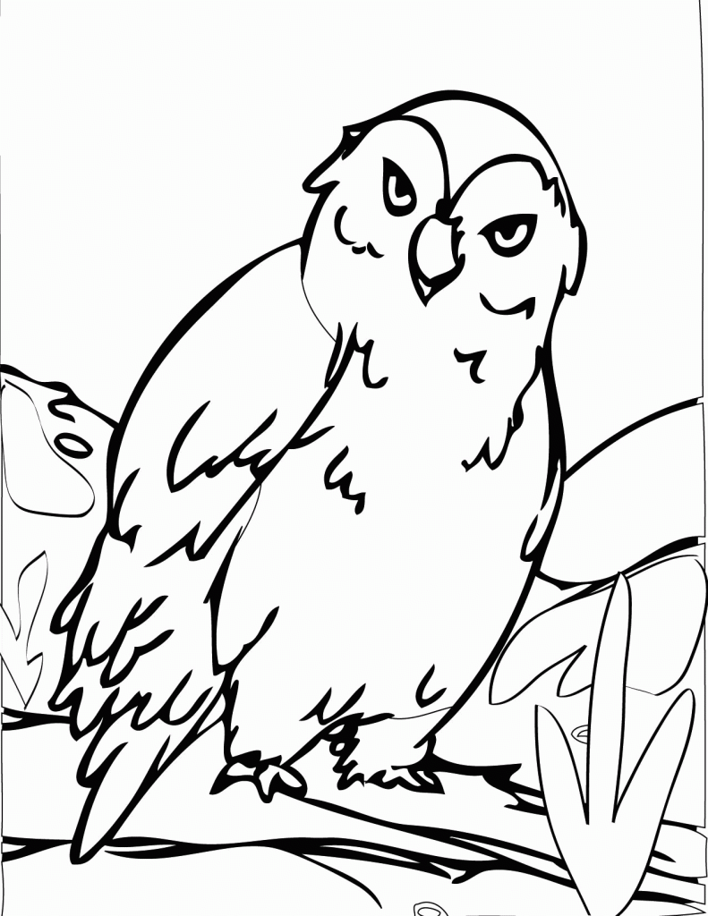 Snowy Owl Tundra Bird Coloring Page