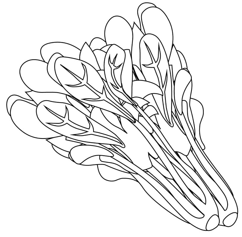 Spinach Bunch Coloring Page