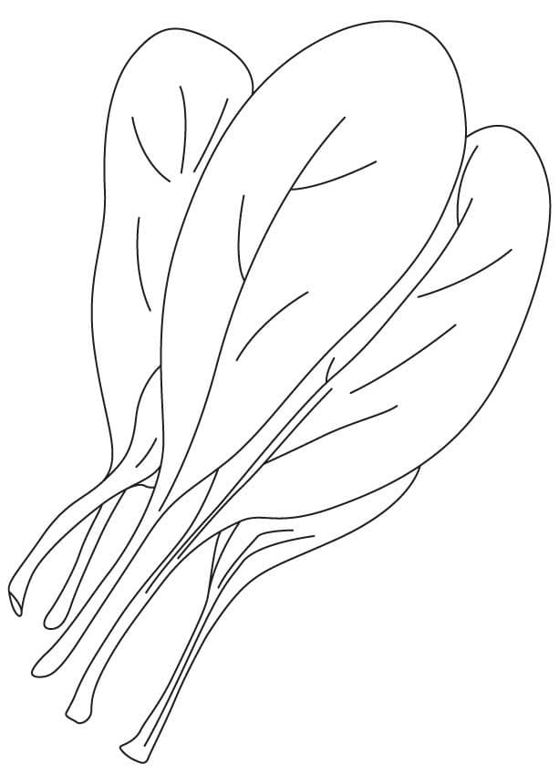 Spinach Coloring Page