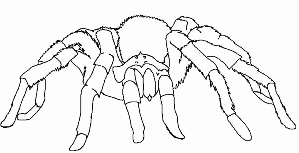 Tarantula Desert Animal Coloring Page