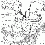 Tundra Animals Coloring Page