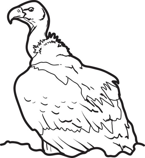 Vulture Desert Animal Coloring Page