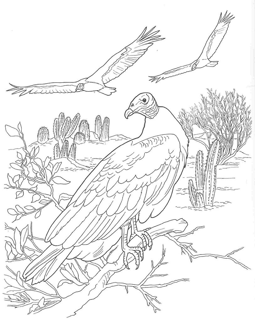 Vultures In The Desert Coloring Page