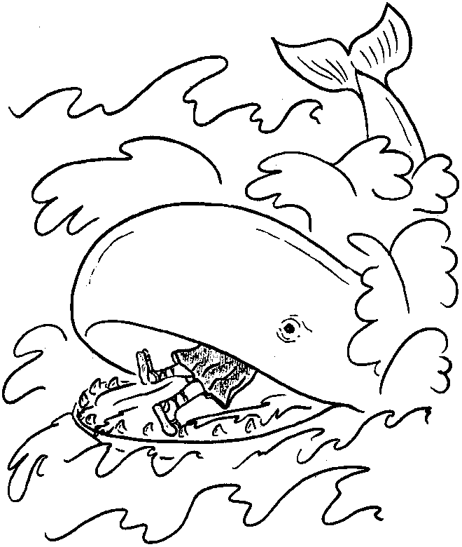 Whale Coloring Page