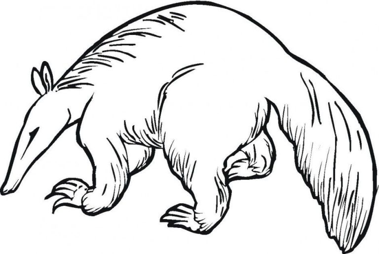 Grasslands Coloring Pages - Best Coloring Pages For Kids