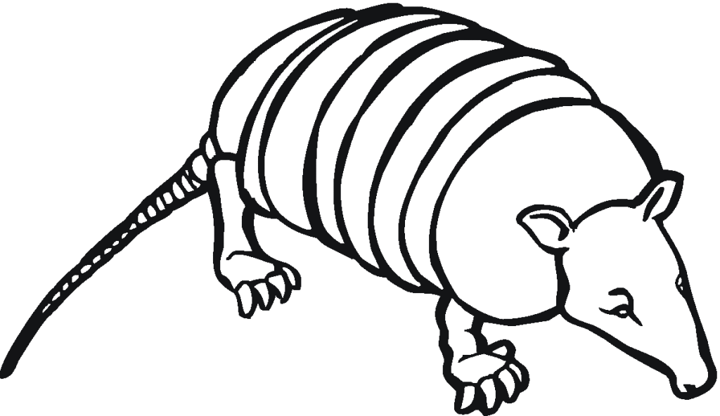 Armadillo Grassland Animal Coloring Page