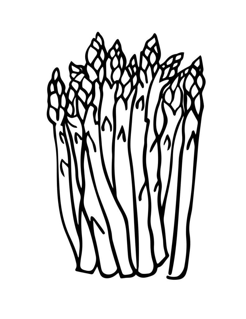 Asparagus Coloring Page