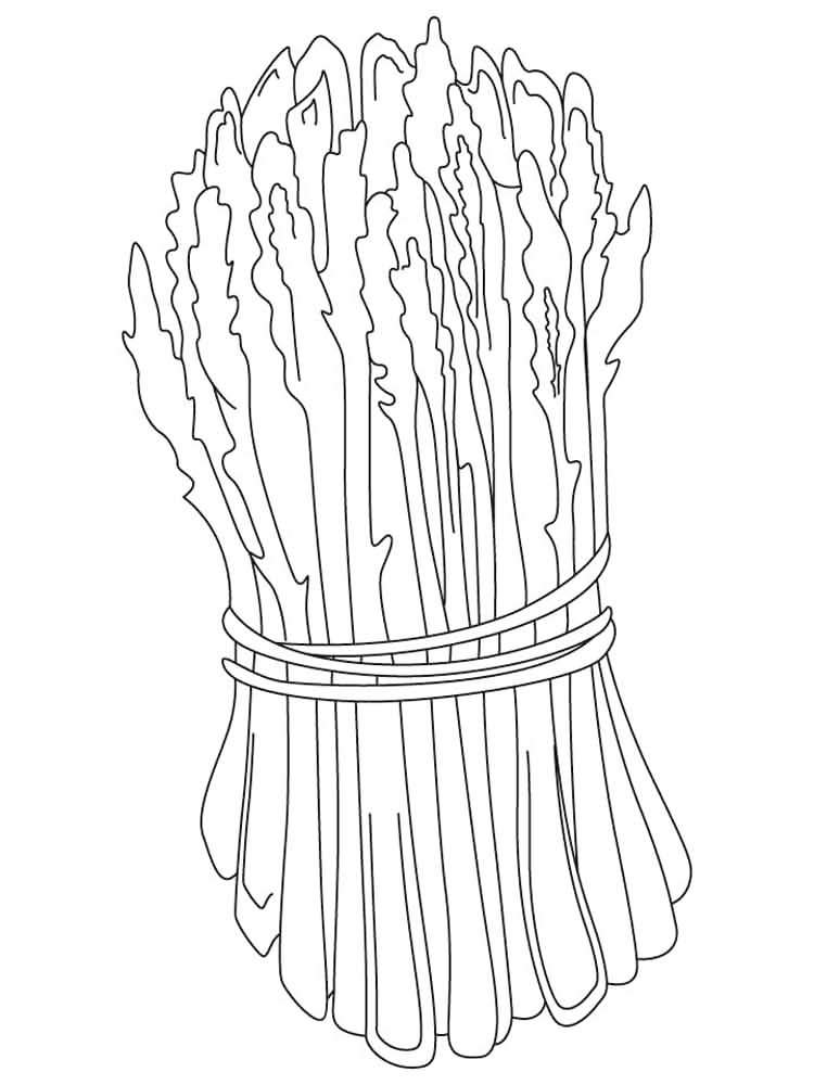 Bundle Of Asparagus Coloring Page