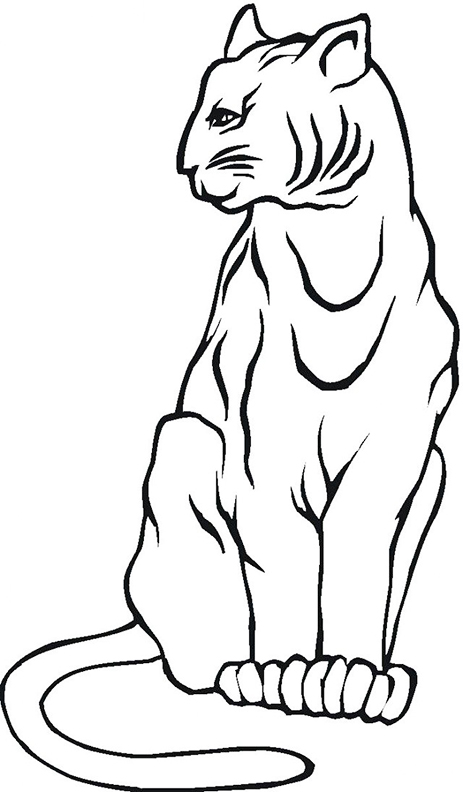 Cougar Grassland Animal Coloring Page