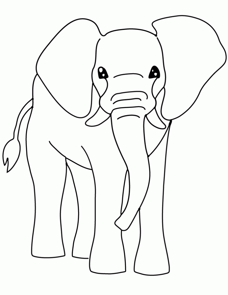 Elephant Grassland Animal Coloring Page