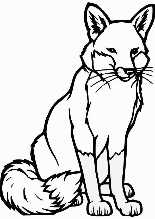 Fox Grassland Animal Coloring Page